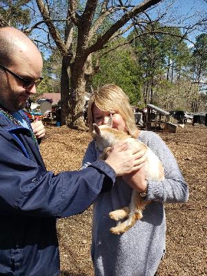 Me petting a goat
